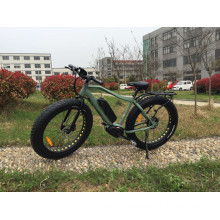 En15194 Approved Fat Mountain E-Bike with MID Drive Motor